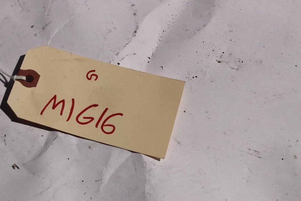 03-2004 INFINITI G35 CUPÉ RADIADOR TUBO MANGUERA SUPERIOR M1616 Foto 2 de 4