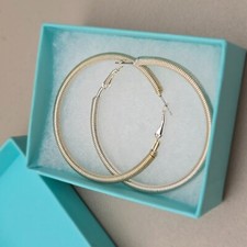 Large Silver Tone Earrings Hoop