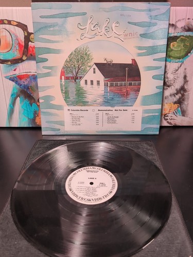Lake~Lake II (promo) JC35289 Vinyl LP. Rare Stamp Detroit Radio WNIC 8/17/1978. - Picture 4 of 11
