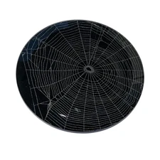 META MENARDI  Preserved Natural Spider Web on Glass by Artist Emil Fiore