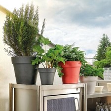 Vaso Like Deroma 22x22x20h Colori assortiti vaso d'arredo