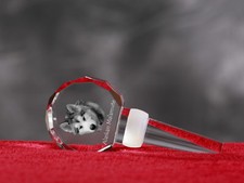 Alaskan Malamute, Crystal Wine Stopper with Dog, Wine and Dog Lovers,UK