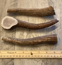 3 PACK LARGE Elk/Deer Antler Premium Dog Chews OREGON ANTLER WORKS