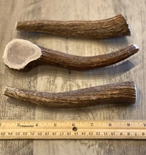 (3 PACK) LARGE Elk/Deer Antler Premium Dog Chews **OREGON ANTLER WORKS**