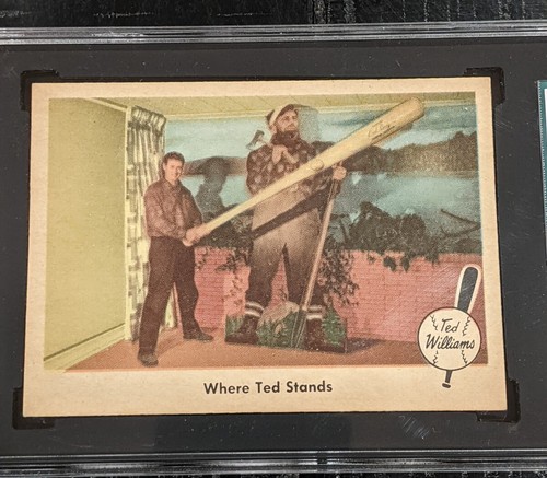 1959 Fleer Ted Williams SGC 8 NM-MT Where Ted Stands #79 SHARP HIGH END - Picture 4 of 4
