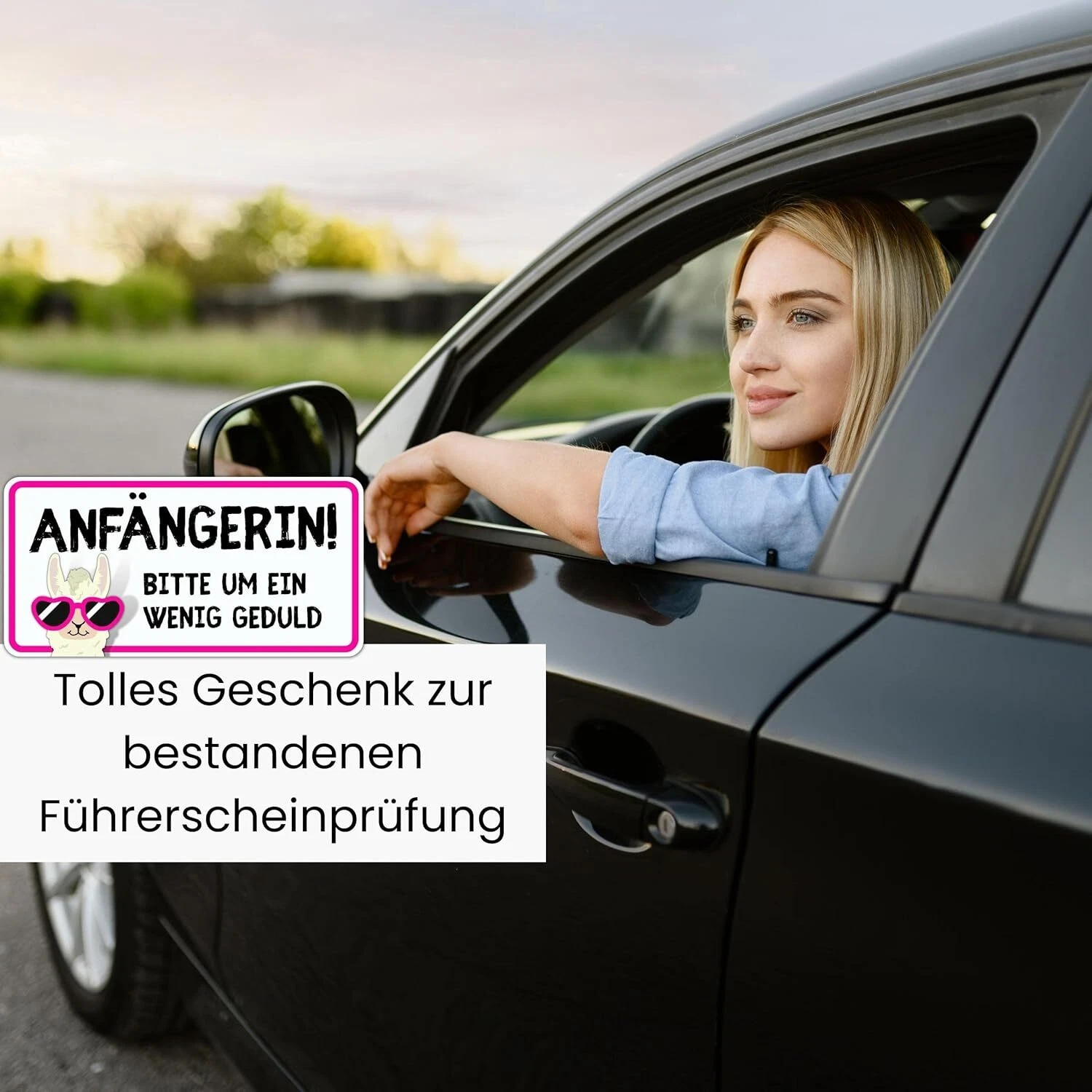 Bild 5 von 7