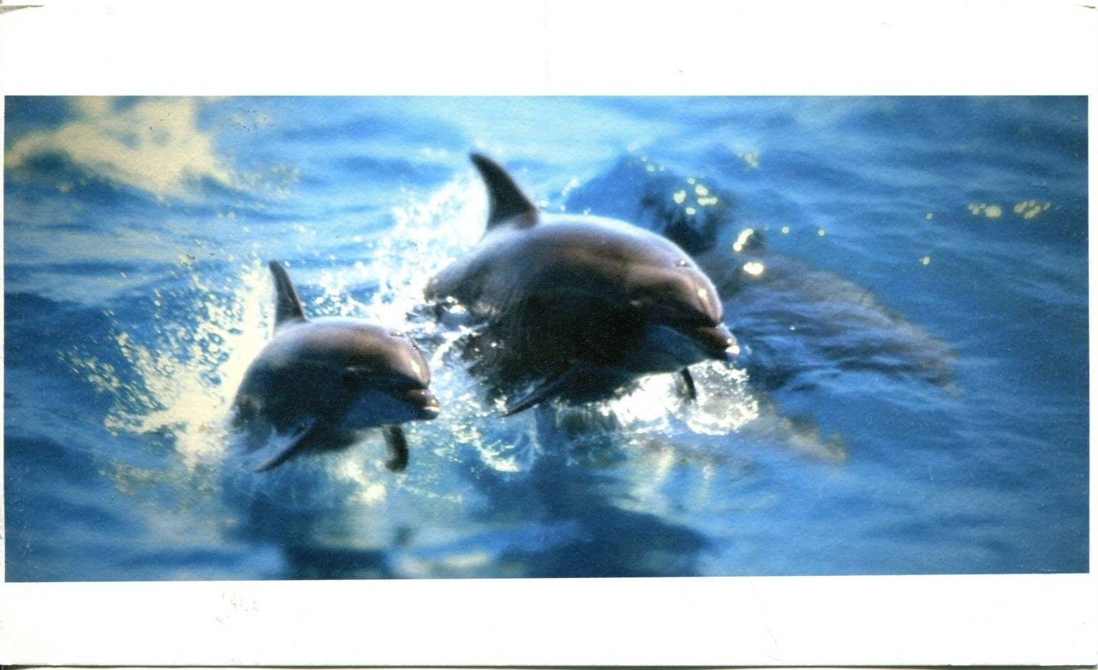 Picture 1 of 1
