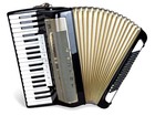 Hohner Lucia IV P 96 Bass Akkordeon Geprüft und Gestimmt toller Zustand