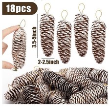 18PCS Snow Pinecone Ornaments, Large Spruce Pinecones Hanging Pinecones for D...