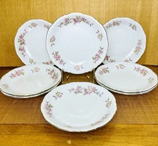 Vintage Set of 8 Mitterteich Bavaria Springtime Germany 8” Scalloped Bowls 018