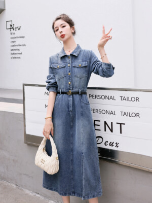 Denim Dresses for Women Small Medium Large Size 4-12 Button Up A-Line Midi  Blue