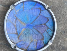 Rare Blue Morpho Iridescent Butterfly, Aluminum Vintage Table Ash-tray