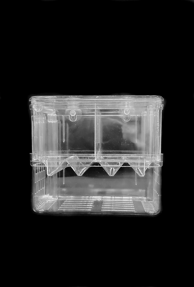 Aquarium Fish Tank Breeding Breeder Rearing Box Hatchery Isolation Case ...