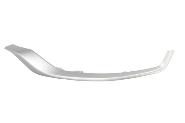 Left Front BLIC 5703-05-8187921P Trim/Protection Strip, bumper for TOYOTA