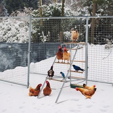 Brand New 103 50 100cm Outdoor Chicken Perch