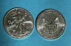 2018  American Silver Eagle - GEM BU fresh from U.S. Mint tube
