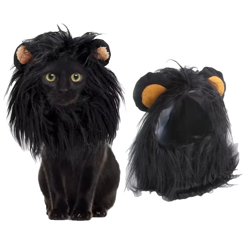 Gato disfraces de animales y naturaleza