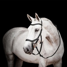 Premium Brown Leather English Horse Bridle with Tack Set Available all Sizes