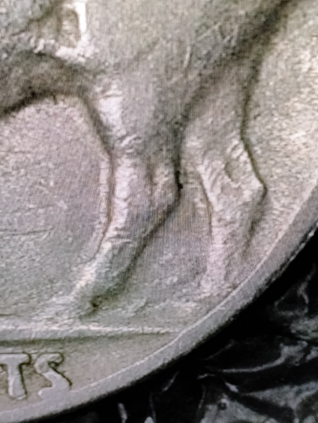 Picture 19 of 20