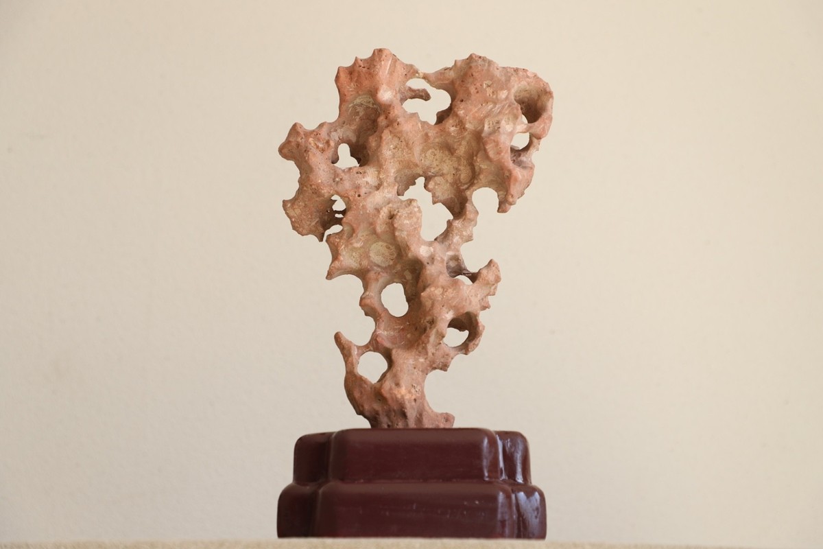 Chinese Scholar Rock Taihu stone Suiseki Zen wood Base Art Home