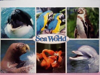Sea World multi view San Diego Orlando Aurora water amusement park  marine 