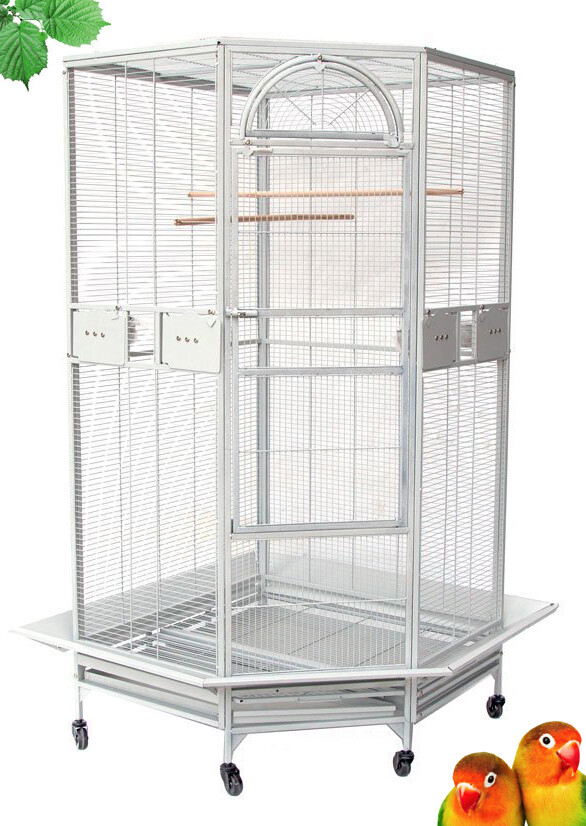 3 Color/2 Bar Spacing Extra Large Pentagon Corner Parrot Bir