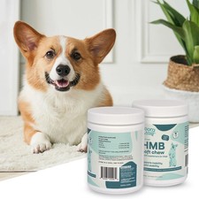 Noora Dog HMB Soft Chews Muscle & Joint Suppo...