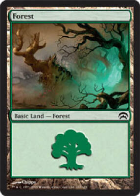 FOREST #167 X4 4 4X Planechase MTG Magic the Gathering Cards DJMagic