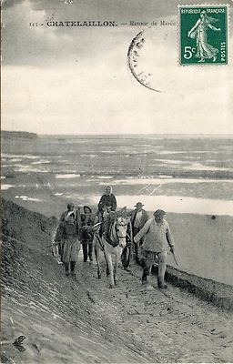 POSTCARD / CHATELAILLON RETURN FROM TIDE