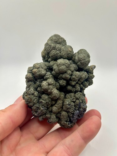Rare Old Stock 1990's Botryoidal Pyrite over Galena, West Fork Mine, Missouri