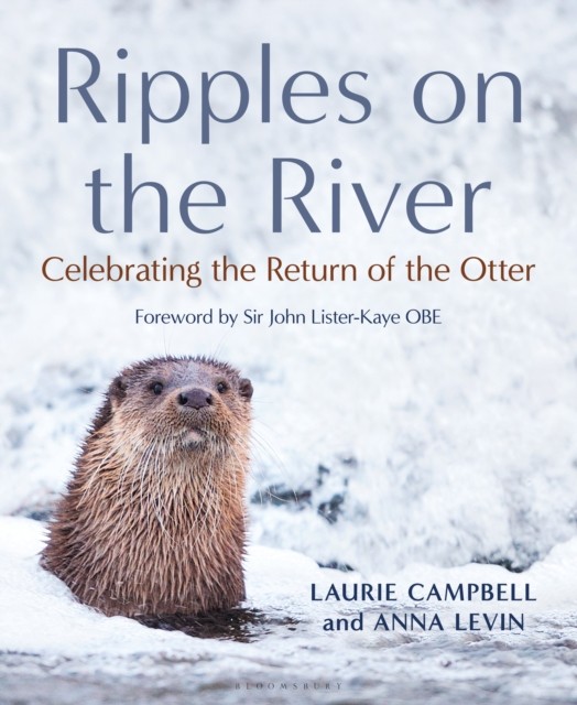 Ripples on the River by Anna Levin (Hardback Book)