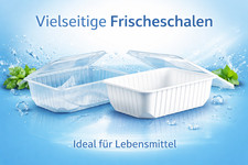 Mehrweg Feinkostbecher Salatbecher inklusive Deckel- transparent , rechteckig