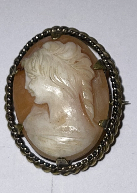 Antique Art Nouveau Carved Shell Lady CAMEO Long Curl… - Gem