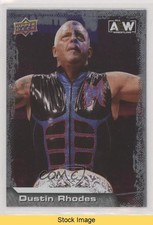 2022 Upper Deck AEW All Elite Wrestling Silver Foil Dustin Rhodes #46 READ 1g4p