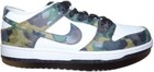 Nike Zoom Dunk Pro SB Low Camo