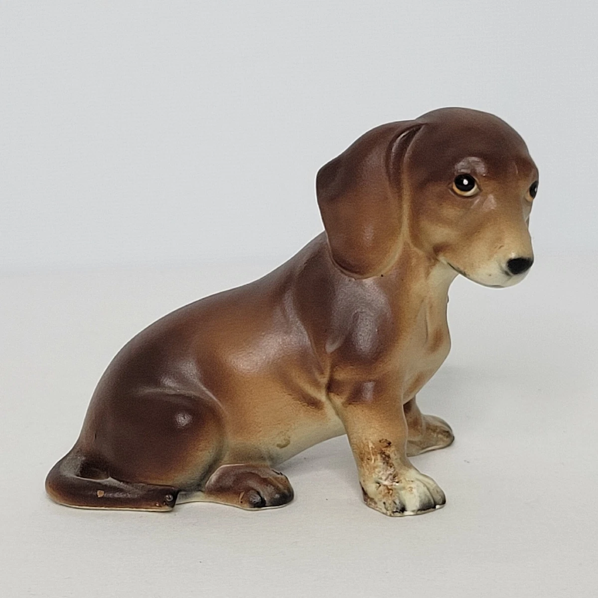 Wiener dachshund cheap