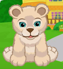 Webkinz Tawny Lion Cub Virtual Adoption Code Only Messaged Webkinz Tawny Lion  
