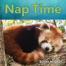 Nap Time Board Books Susan Hughes
