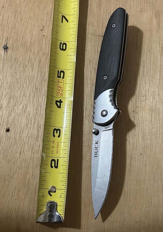 Buck Glacier 300 Folding Pocket Knife locking