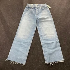 AGOLDE Ren High Rise Wide Leg Jean Women's Size 28 Forum