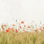 repurpose_revolution