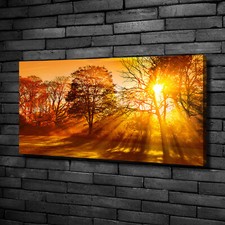 Quadro su tela stampa artistica 100x50 quadri paesaggi tramonto