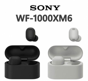 Sony Wf Xm6 | eBay