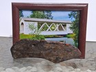 Bark Trimmed Picture Frame — photo 6