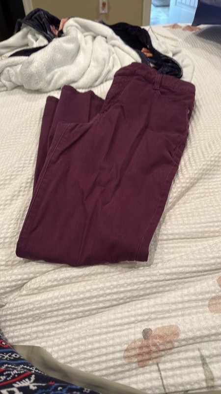 Bandolino Amy Burgundy Missy straight leg stretch Pants-SZ 6/29” inseam