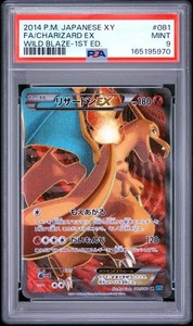 Charizard Wild Blaze | eBay