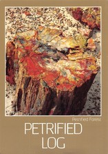 ETATS UNIS NORTHERN ARIZONA PETRIFIED FOREST NATIONAL PARK