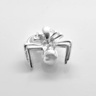 Spider Arachnid Small Charm Sterling Silver 925