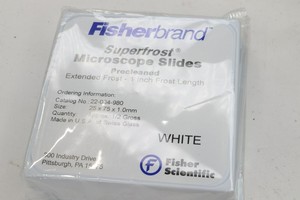 Lot-of-40-Superfrost-22-034-980-1-034-Fisherbrand-Microscope-Slides