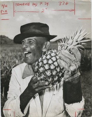 Puerto Rican Pineapple Farmer Worker Prize Crop Puerto Rico 1950s Press Photo